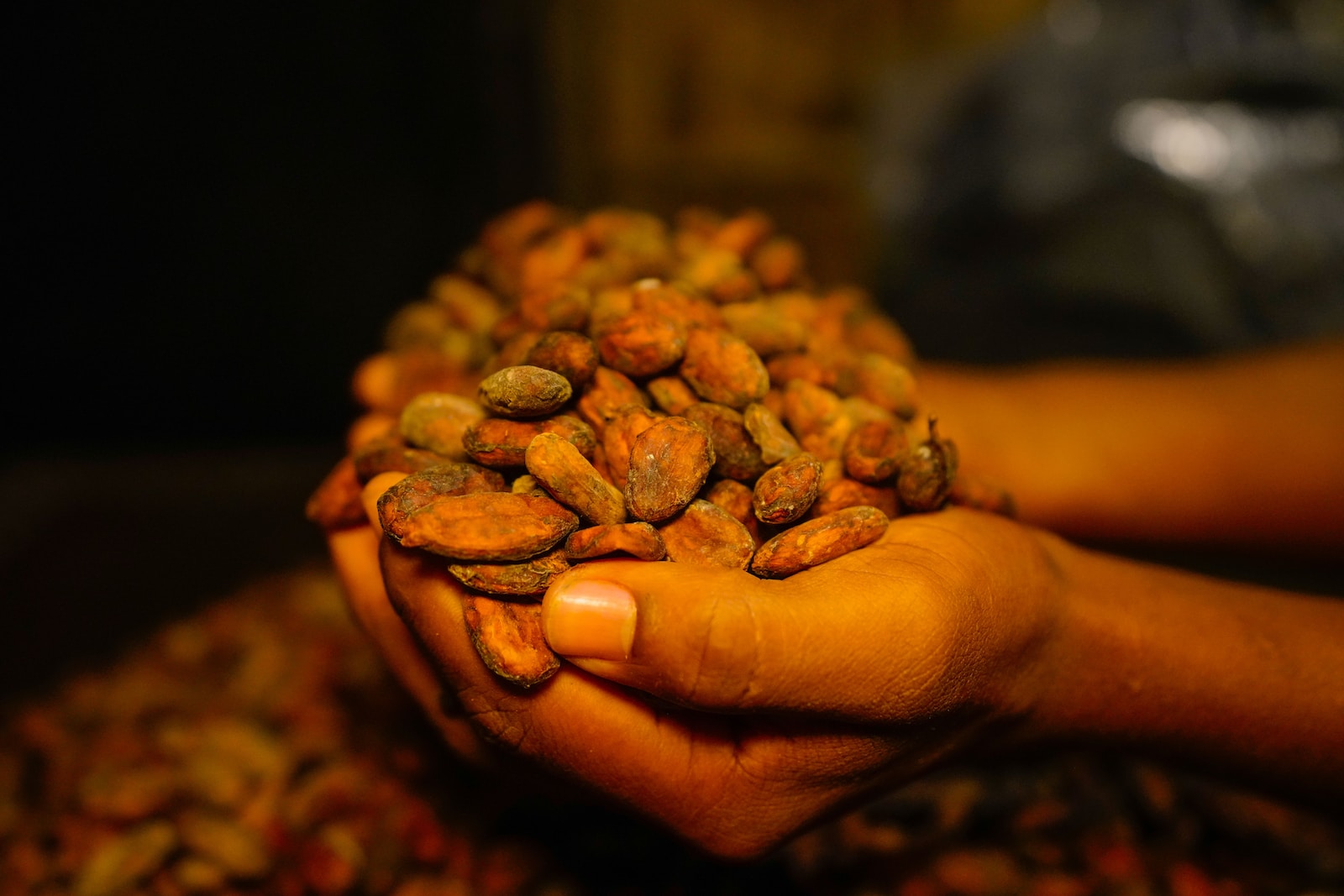 a person holding a handful of nuts in their hands